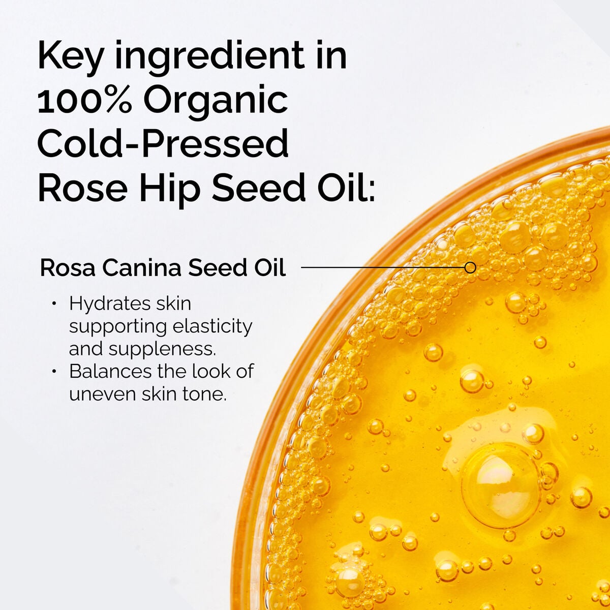 100-organic-cold-pressed-rose-hip-seed-oil-m7 FY25-D41247-ORD-Web-PDP-100-Rose-Hip-Oil-1x1-EN-2.jpg
