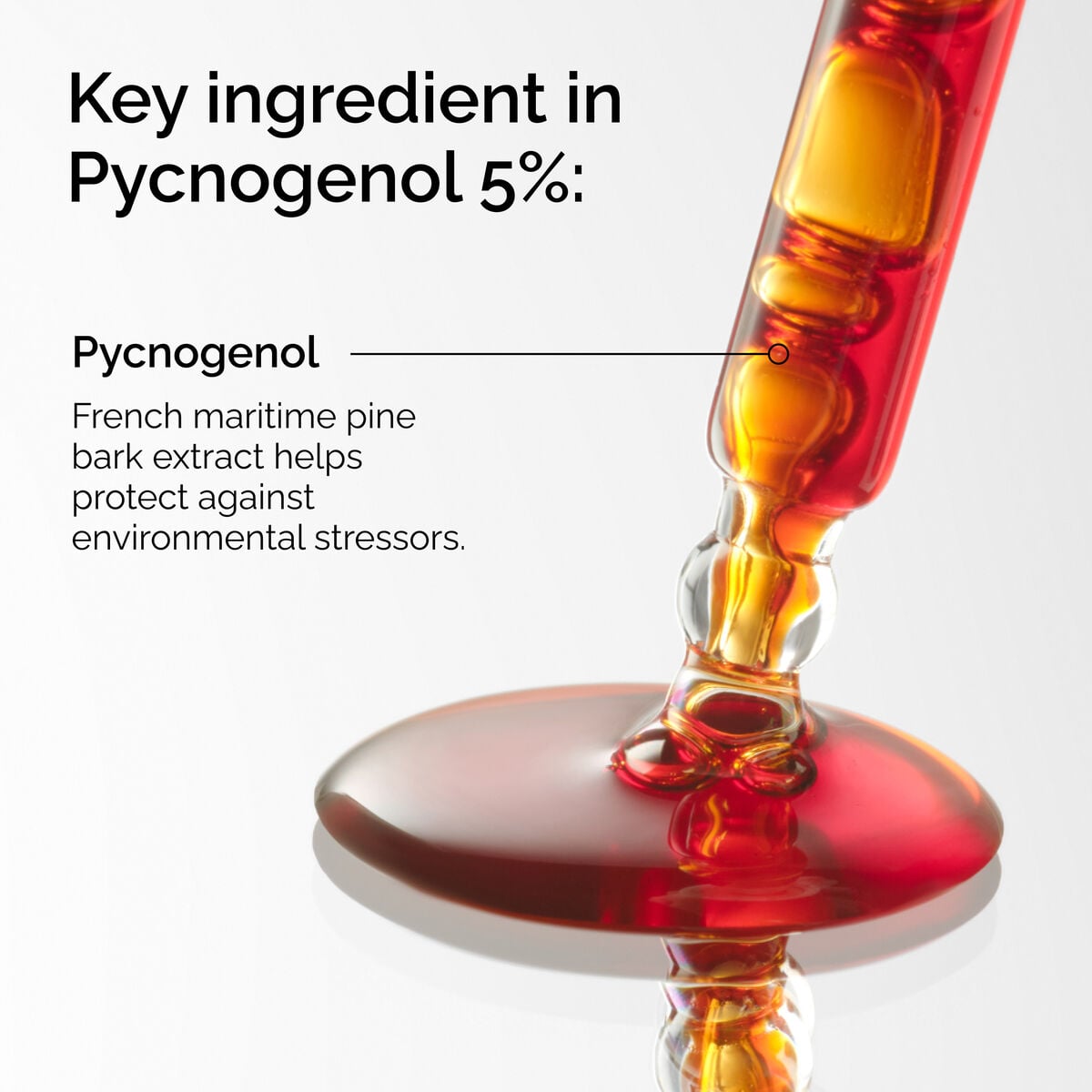 pycnogenol-5-z3 FY25-D41247-ORD-Web-PDP-Pyc-5pct-1x1-EN-2a.jpg